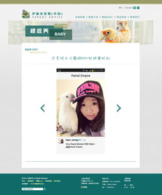 宠物用品网站设计